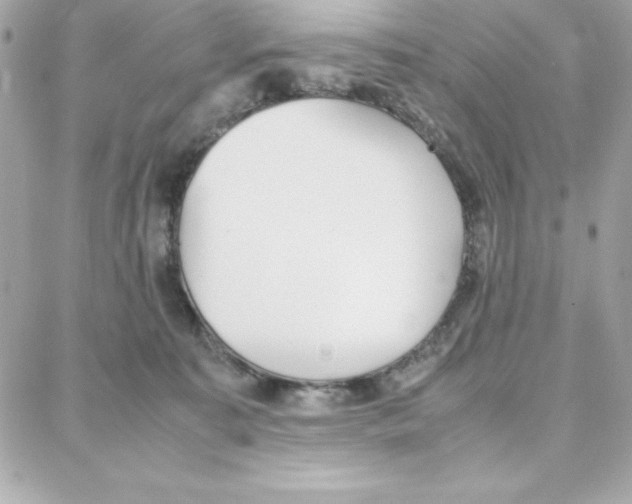 X0000087750323200706041108