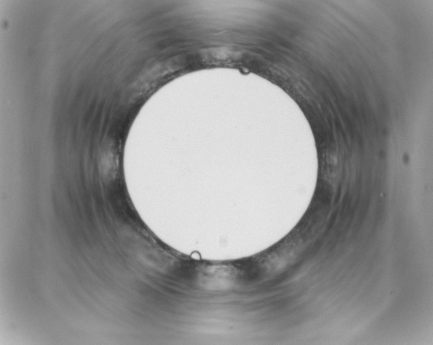 X0000087750324200706041108