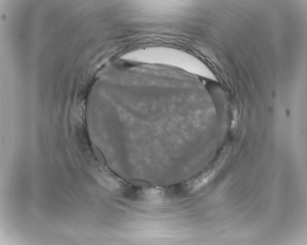 X0000087750325200706041108