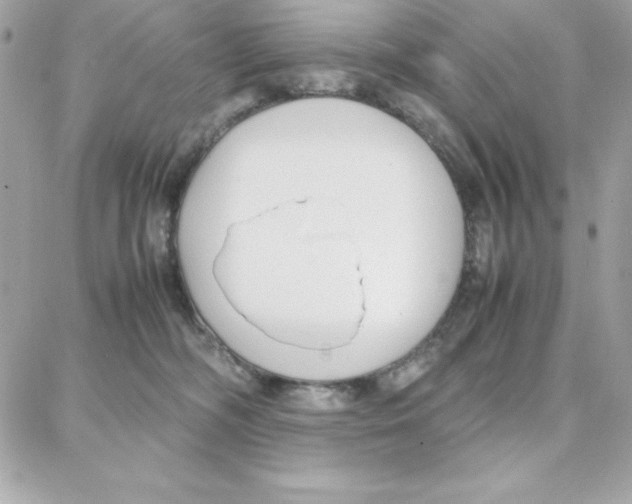 X0000087750326200706041108