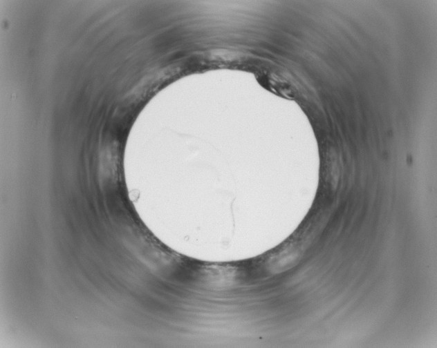 X0000087750328200706041108