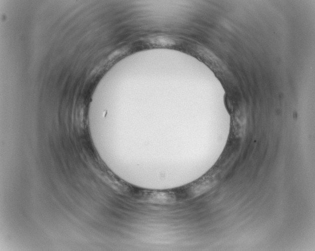 X0000087750330200706041108