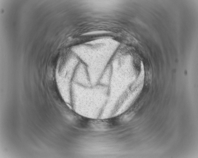 X0000087750331200706041108