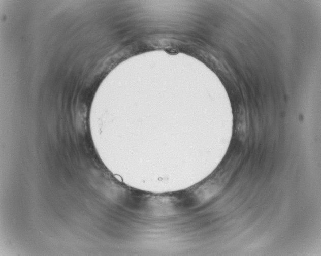 X0000087750332200706041108