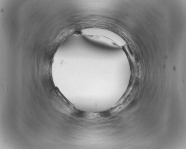 X0000087750333200706041108