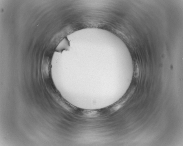 X0000087750334200706041108