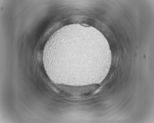 X0000087750335200706041108