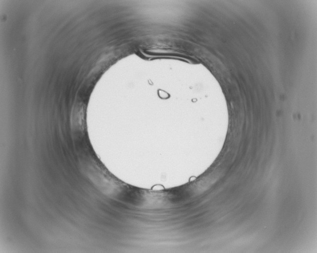 X0000087750336200706041108