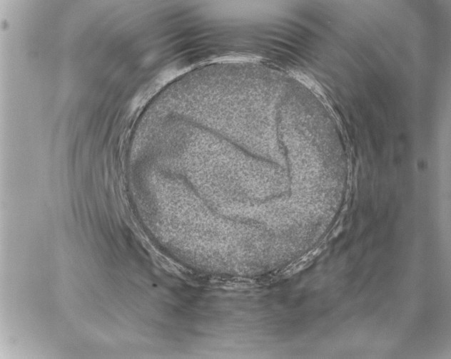 X0000087750337200706041107