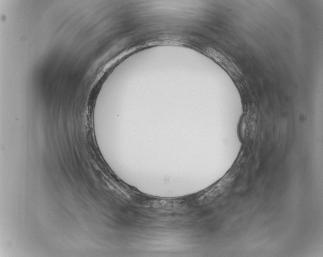 X0000087750338200706041107