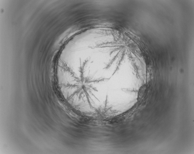 X0000087750339200706041107