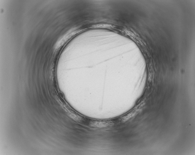 X0000087750341200706041107