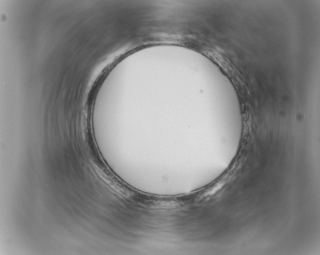 X0000087750342200706041107