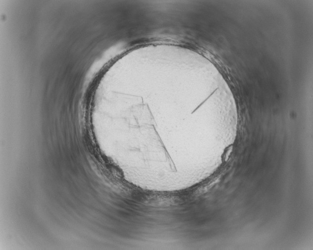 X0000087750343200706041107