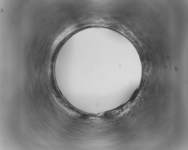 X0000087750344200706041107