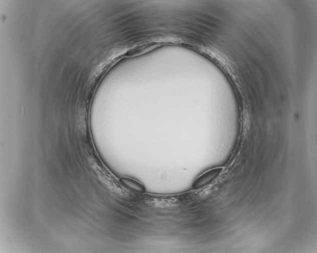 X0000087750345200706041107