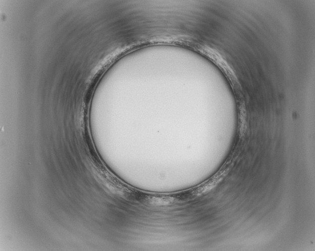 X0000087750346200706041107