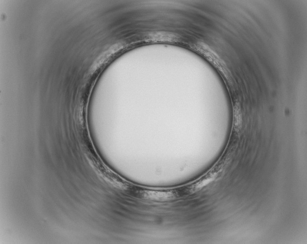 X0000087750347200706041107