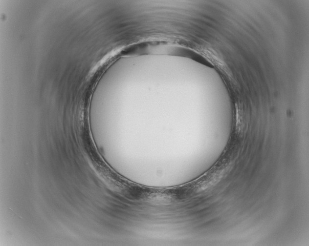 X0000087750348200706041107