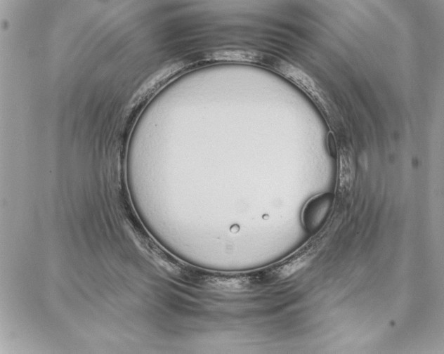 X0000087750349200706041107