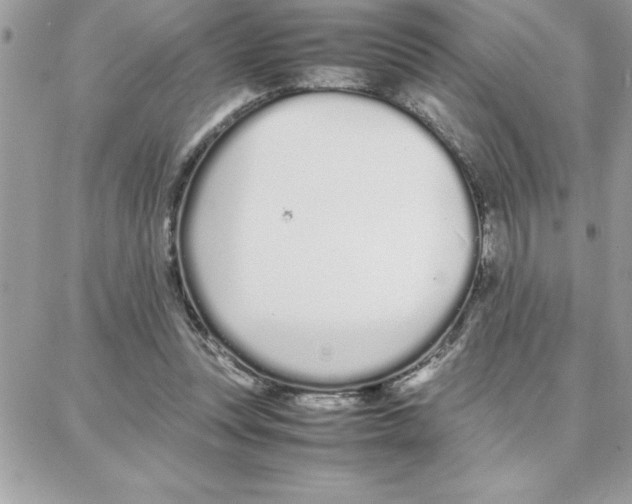 X0000087750351200706041107