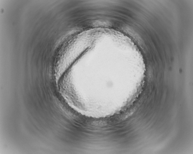 X0000087750353200706041107