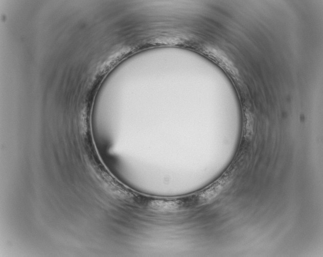 X0000087750354200706041107