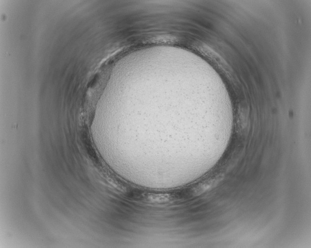 X0000087750355200706041107