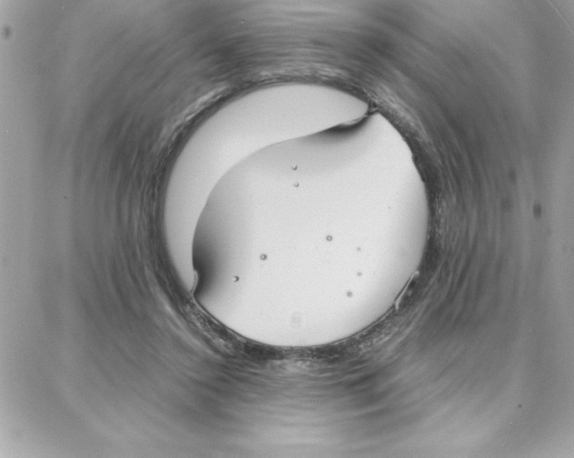 X0000087750356200706041107