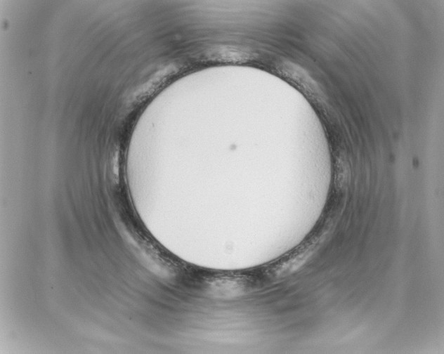 X0000087750358200706041107