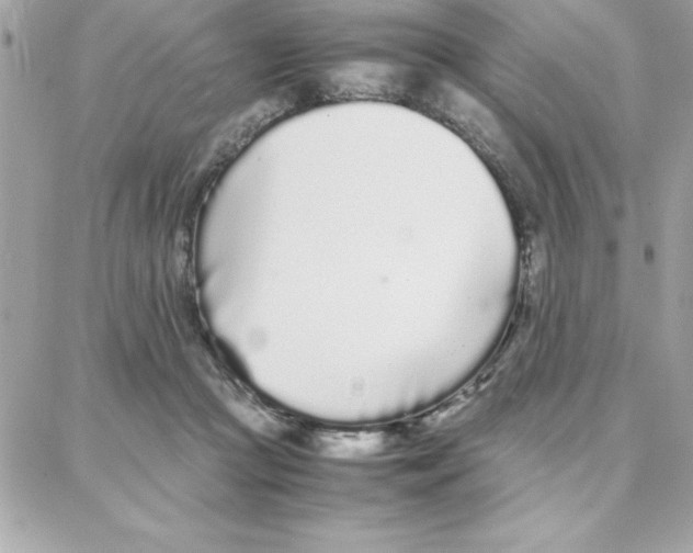 X0000087750361200706041107