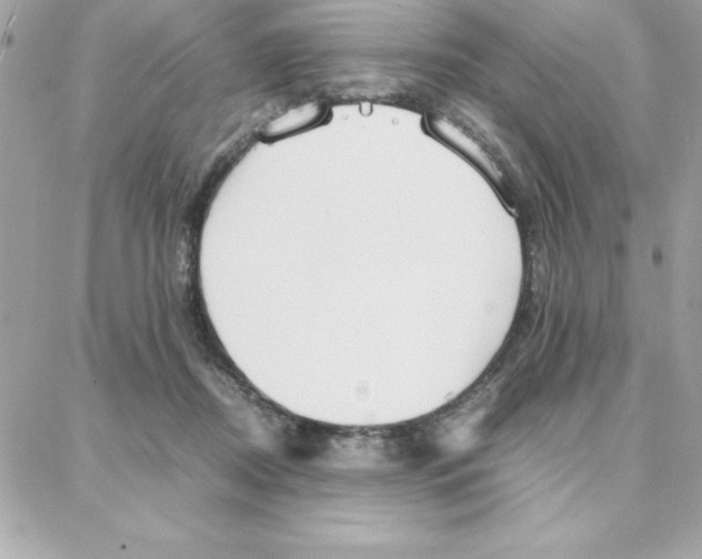 X0000087750362200706041107