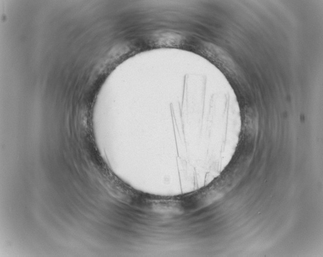 X0000087750363200706041107