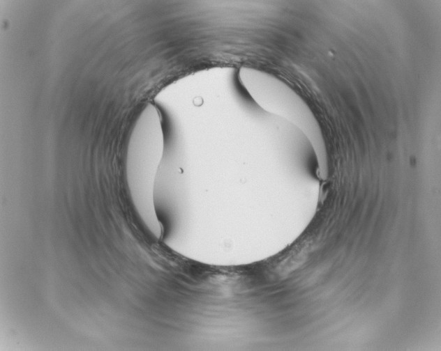 X0000087750364200706041107