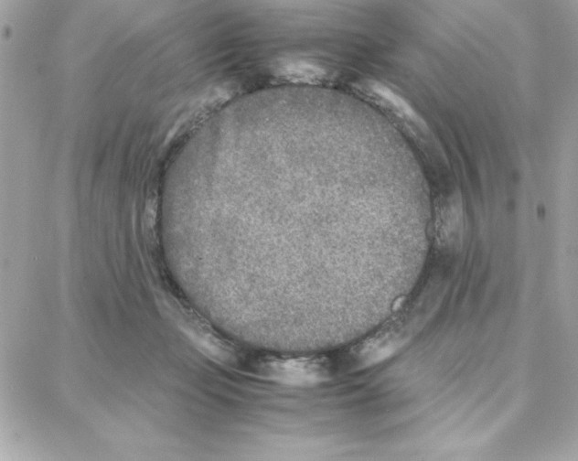 X0000087750365200706041107