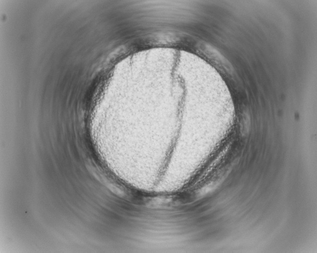 X0000087750366200706041107