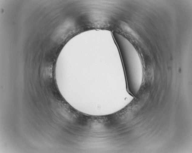 X0000087750368200706041107