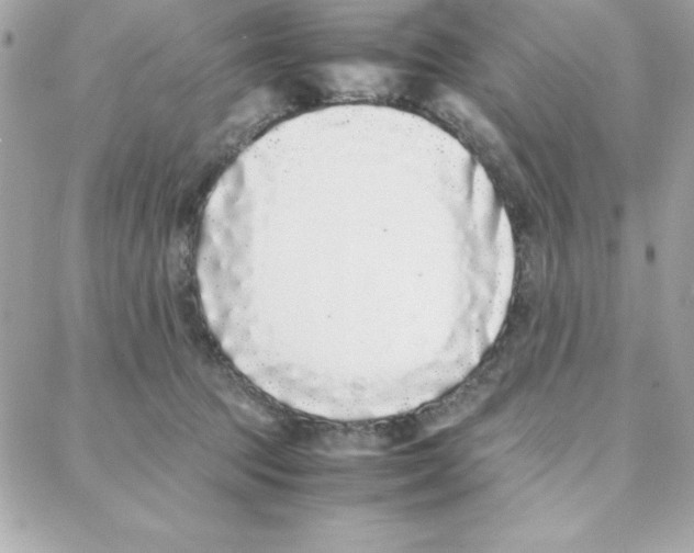 X0000087750369200706041107