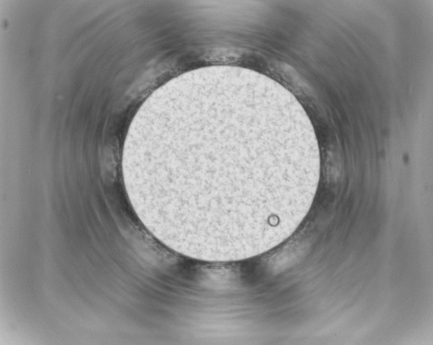 X0000087750370200706041107