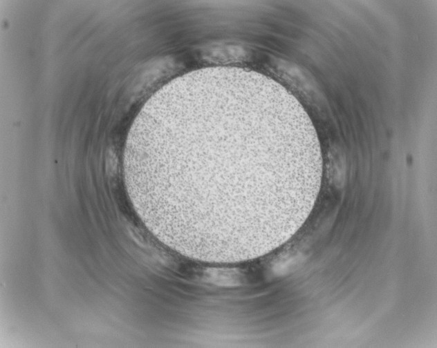 X0000087750371200706041107