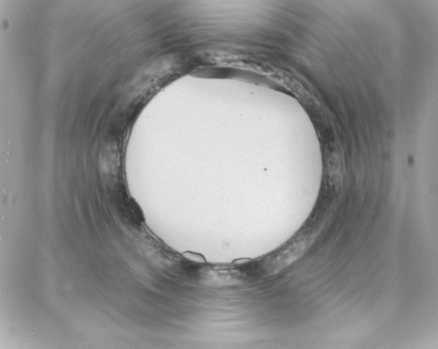 X0000087750372200706041107