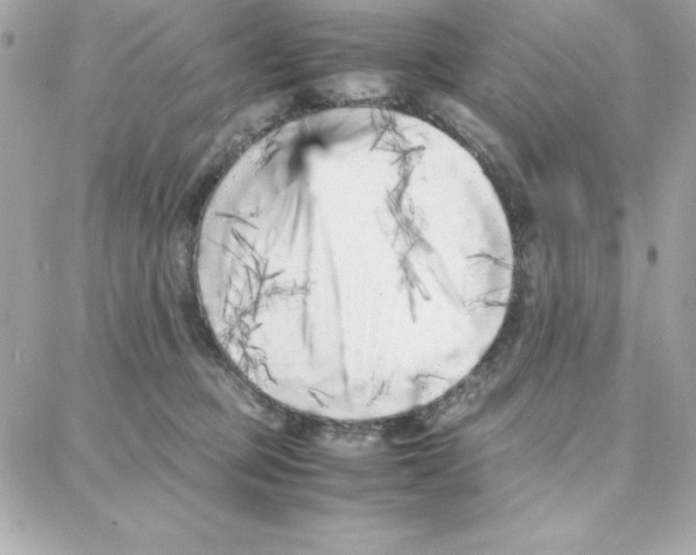 X0000087750373200706041107