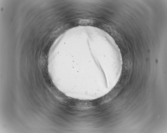 X0000087750375200706041107