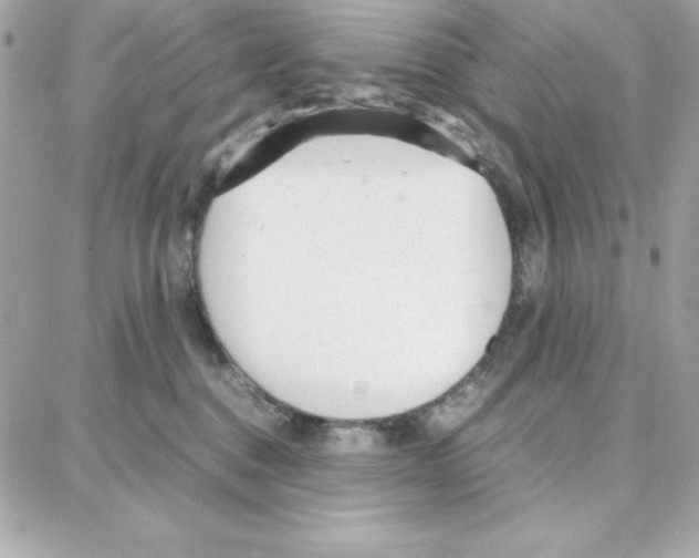 X0000087750376200706041107