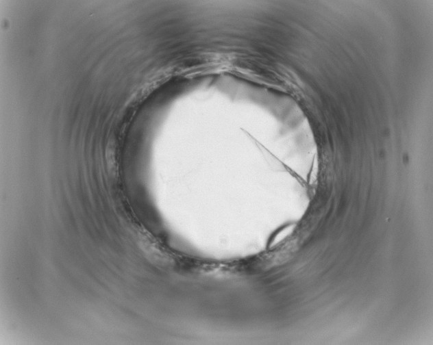 X0000087750377200706041107