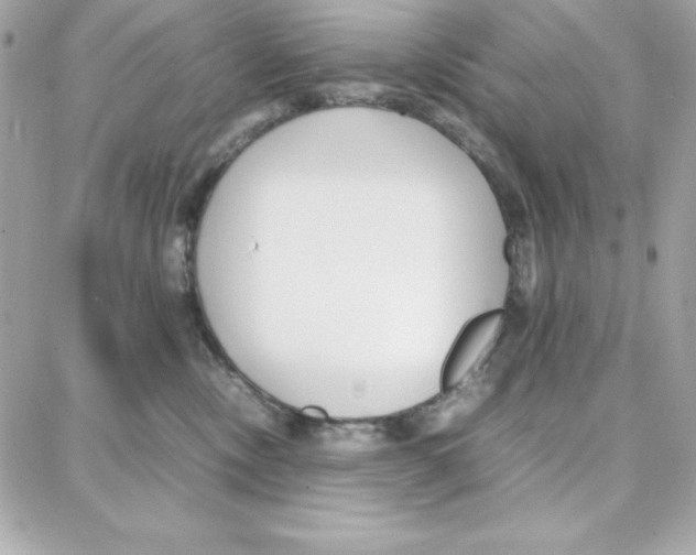 X0000087750378200706041107