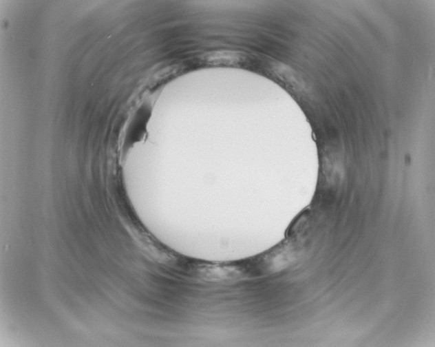 X0000087750379200706041108