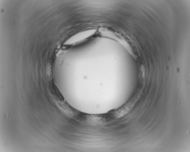 X0000087750380200706041108