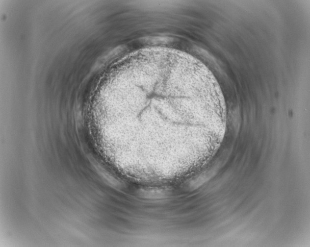 X0000087750381200706041108