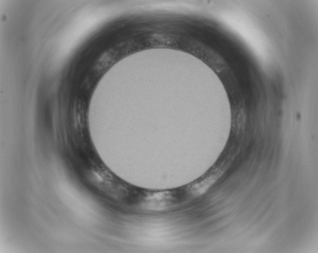 X0000087750382200706041108